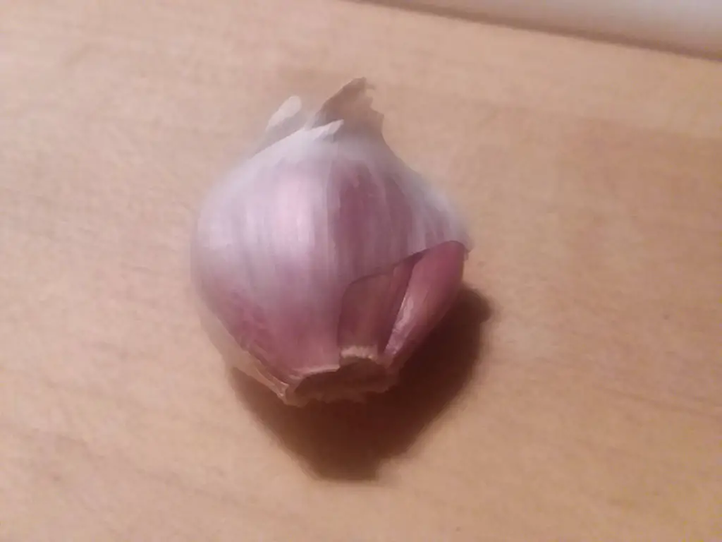 A garlic clove.