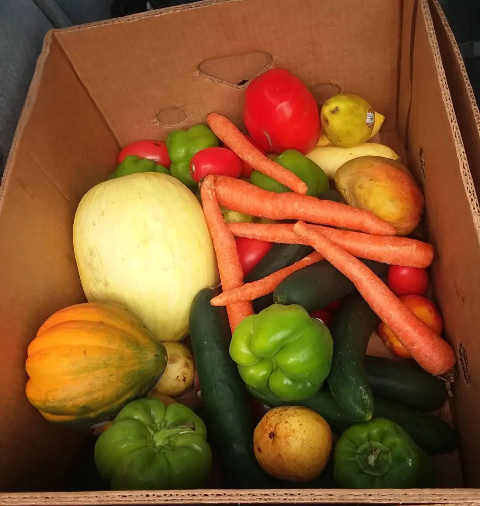 A box of food rescued for charity.