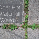 Does hot water kill weeds?