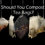 Should you compost tea bags?