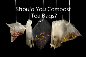 Should you compost tea bags?