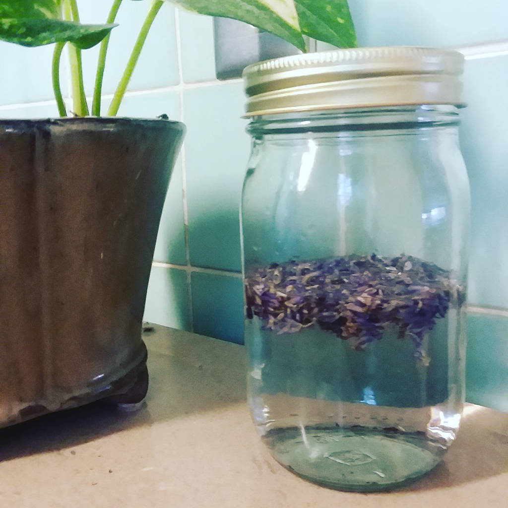 Jar of vinegar infusing with lavender for homemade cleaner