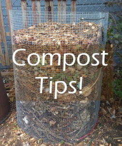 Compost tips, photo of bin
