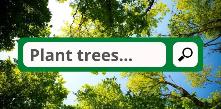 This search engine turns profits into trees