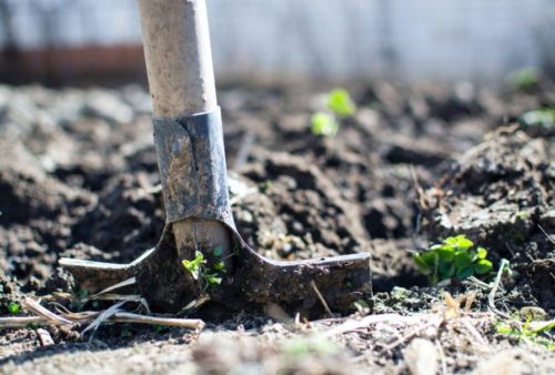 What is carbon farming or carbon gardening?