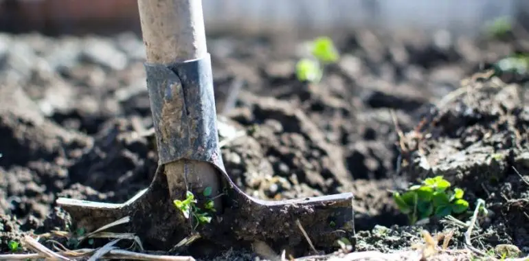 What is carbon farming or carbon gardening?