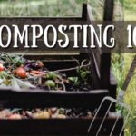 Composting 101 Beginners Compost Guide