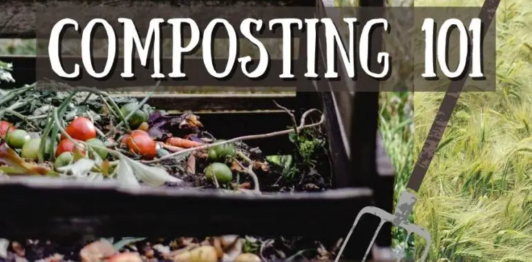 Composting 101 Beginners Compost Guide