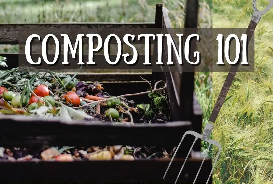 Composting 101 beginners compost guide