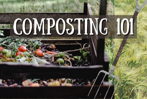 Composting 101 - Beginner Compost Guide