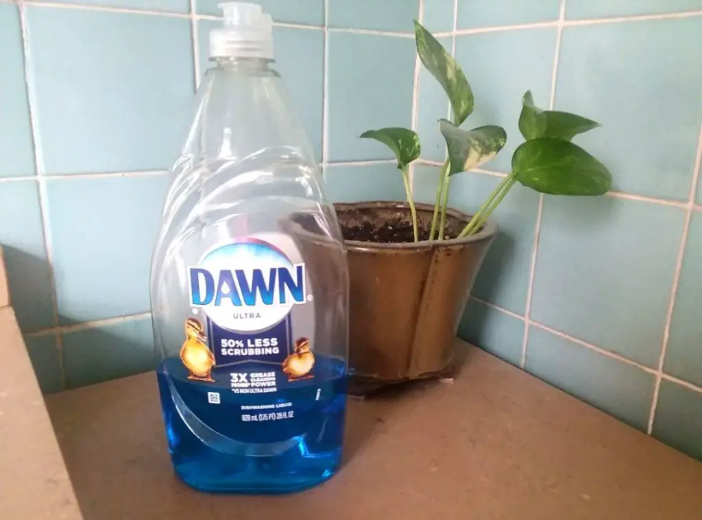 Does Dawn Dish Soap Unclog a Drain?