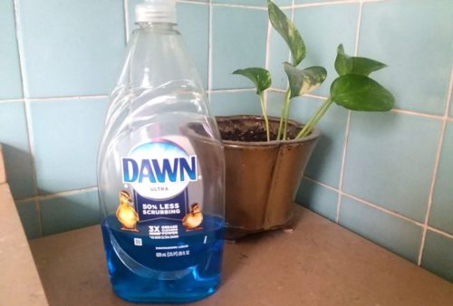 Does Dawn Dish Soap Unclog a Drain?