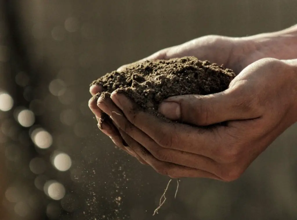 Are soil and compost the same thing?