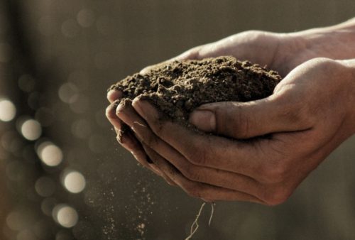 Are soil and compost the same thing?