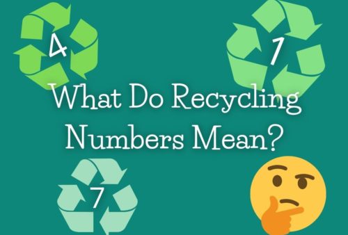 What do recycle numbers mean?
