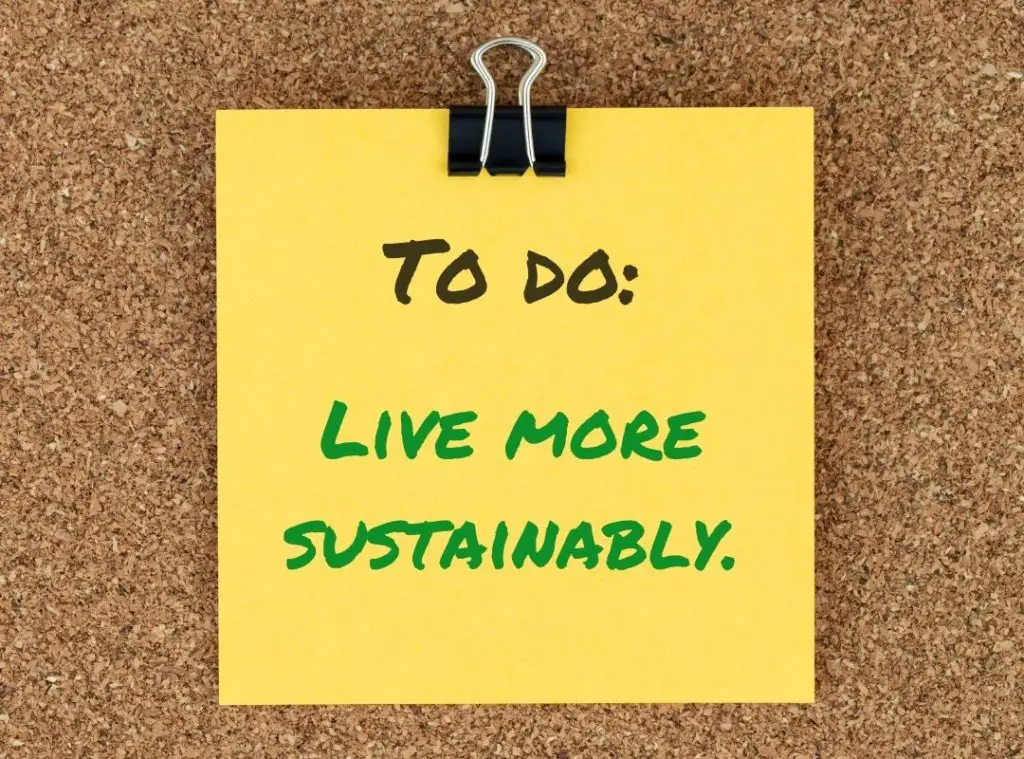 Sustainable living ideas