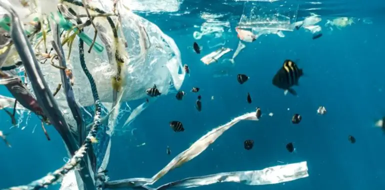 Plastic pollution in the ocean