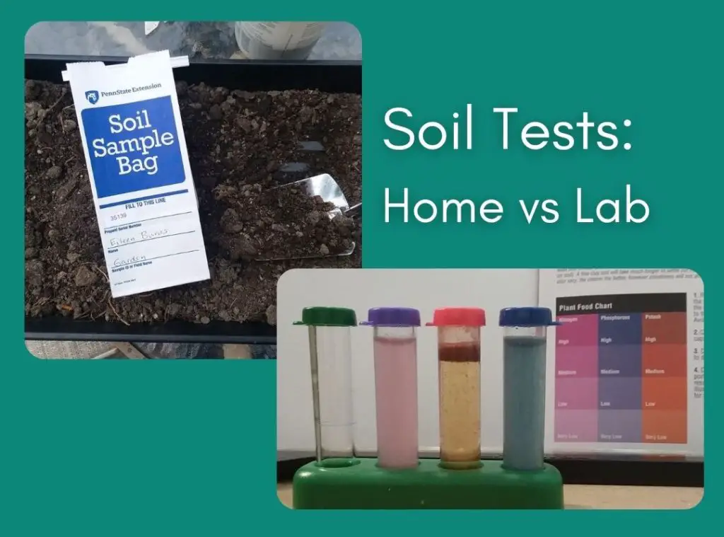 Home soil tests vs lab soil tests