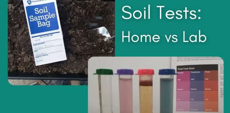 Home soil test vs lab soil test