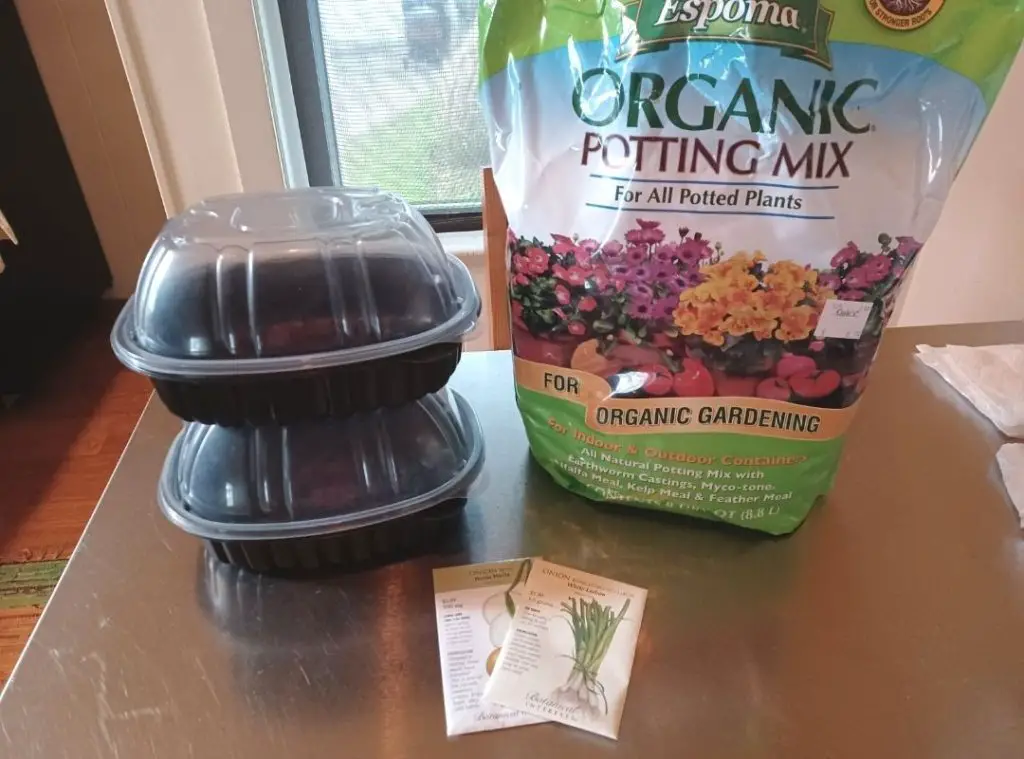 Potting soil, onion seed and takeout containers