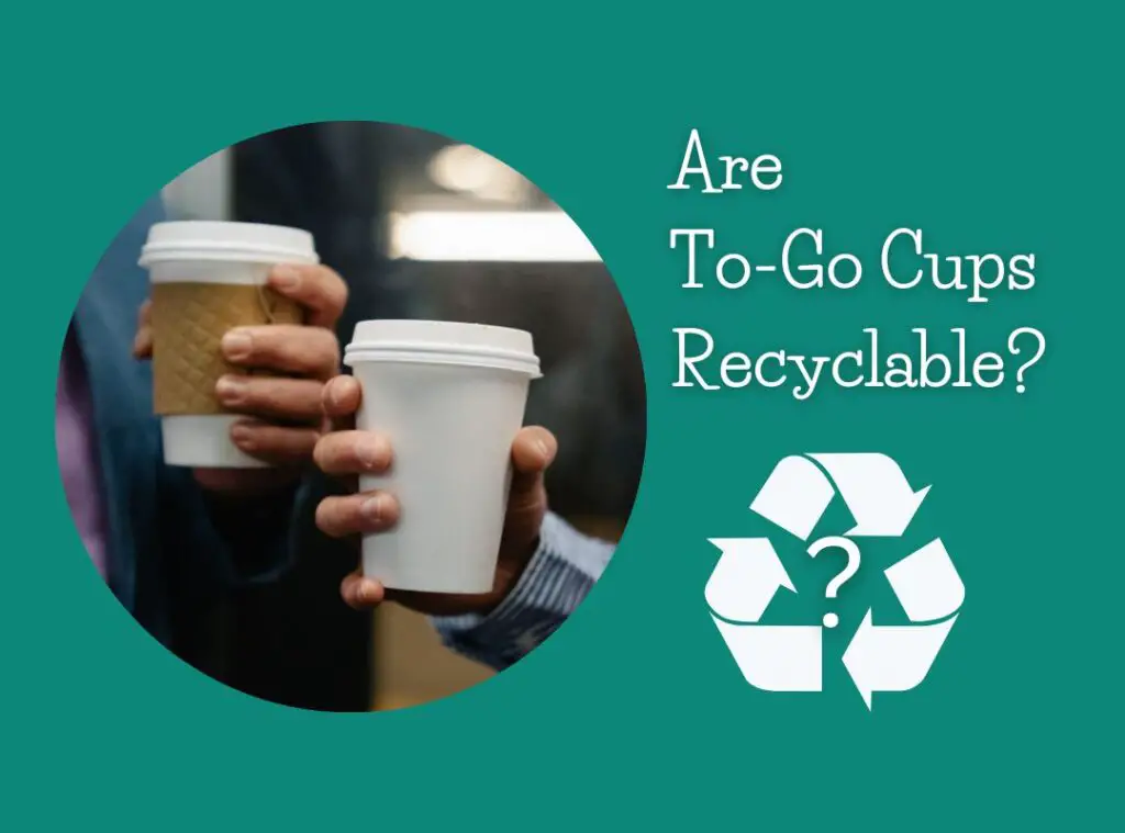 Are Takeout Coffee Cups Recyclable?