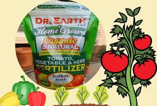 Does Dr. Earth Fertilizer Grow Bigger Veggies? I Tested It.