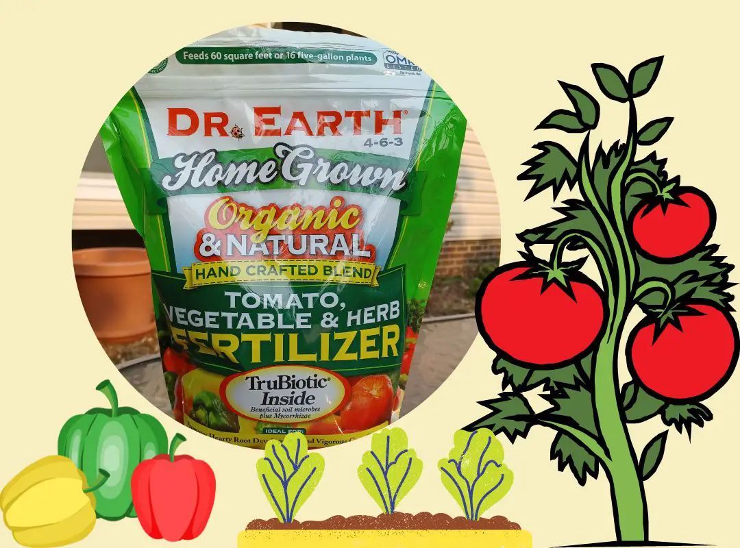 Does Dr. Earth Fertilizer Grow Bigger Veggies? I Tested It. Green and
