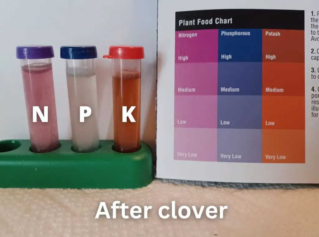 Does Clover Add Nitrogen to Soil? I Tested It. Green and Grumpy