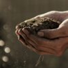 Are soil and compost the same thing?