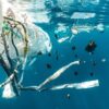 Plastic pollution in the ocean